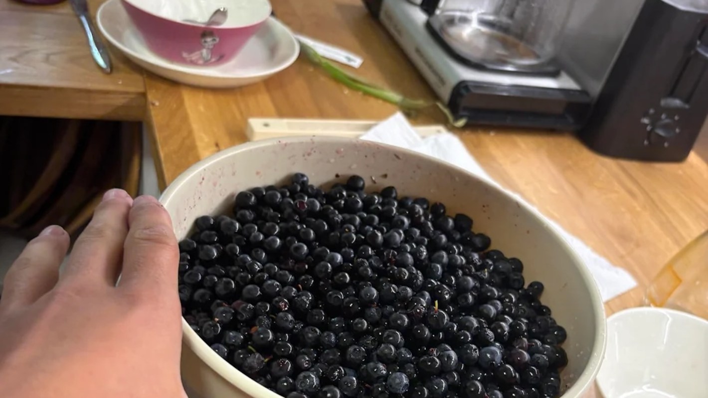 A bowl filled with fresh blue bilberries sits on a wooden countertop.