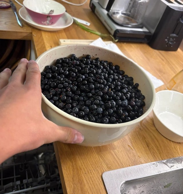 A bowl filled with fresh blue bilberries sits on a wooden countertop.