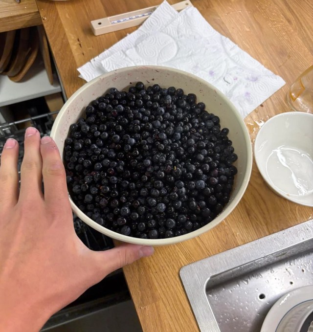 A bowl filled with fresh blue bilberries sits on a wooden countertop.