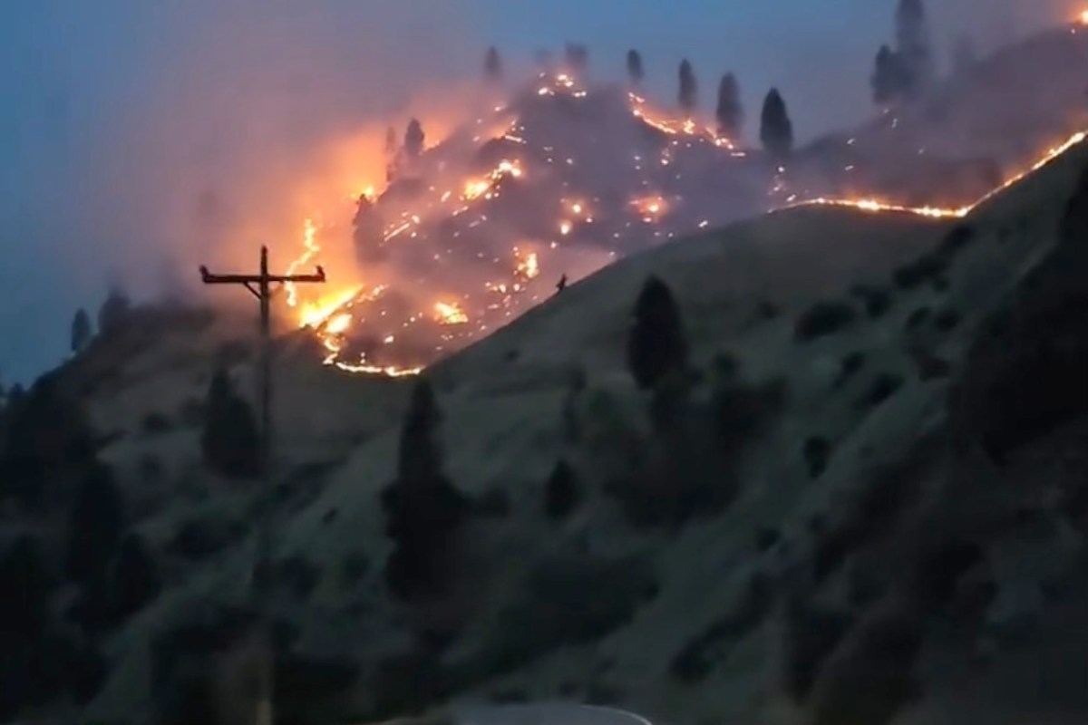 A hillside engulfed in flames with a power line in the foreground.