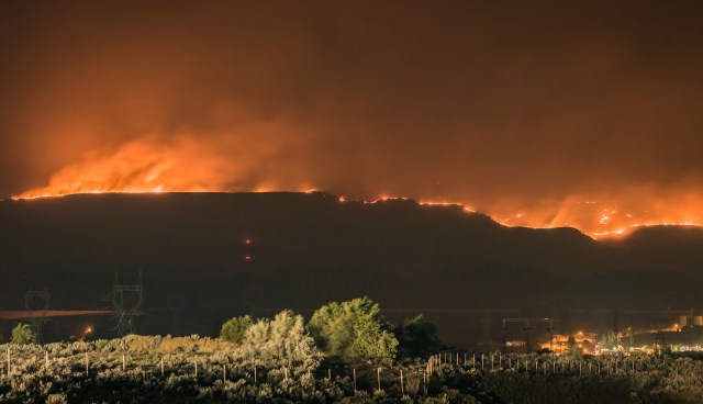 A hillside is engulfed in flames under a smoky, orange sky.
