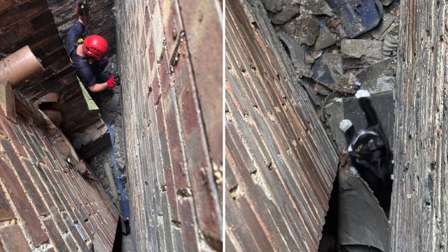 A person uses climbing gear to navigate a narrow space between brick walls to rescue a trapped cat.