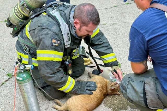 Firefighters putting an oxygen mask on a cat.