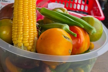 A bowl filled with various vegetables, including corn, okra, and tomatoes.