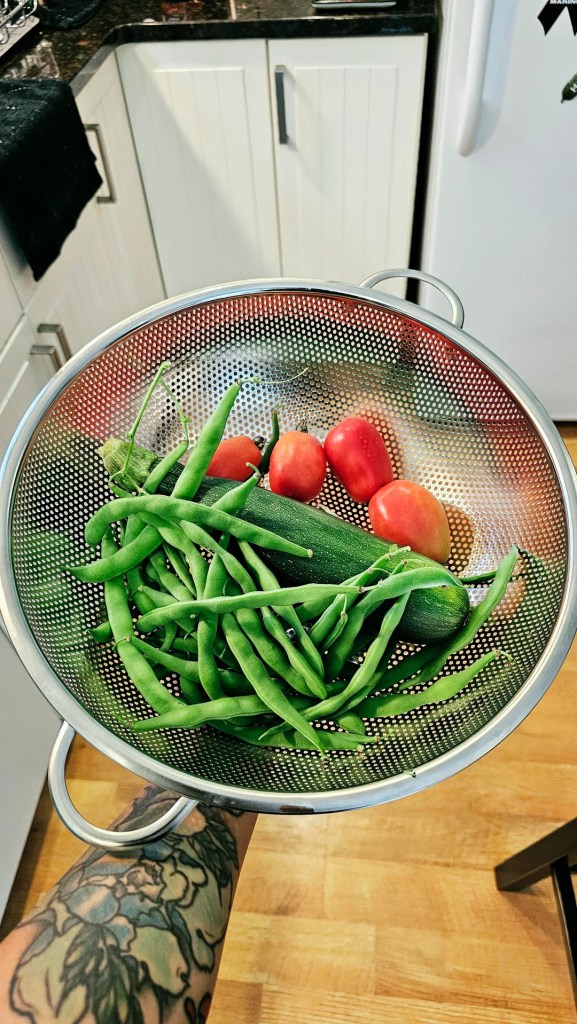 A bowl of tomatoes, green beans and a zucchini.