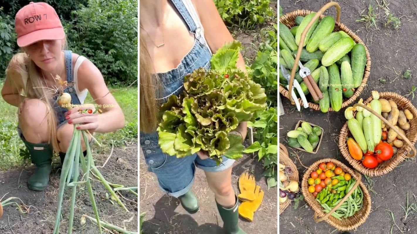 A woman harvests vegetables and greens in a garden, with baskets of produce nearby.