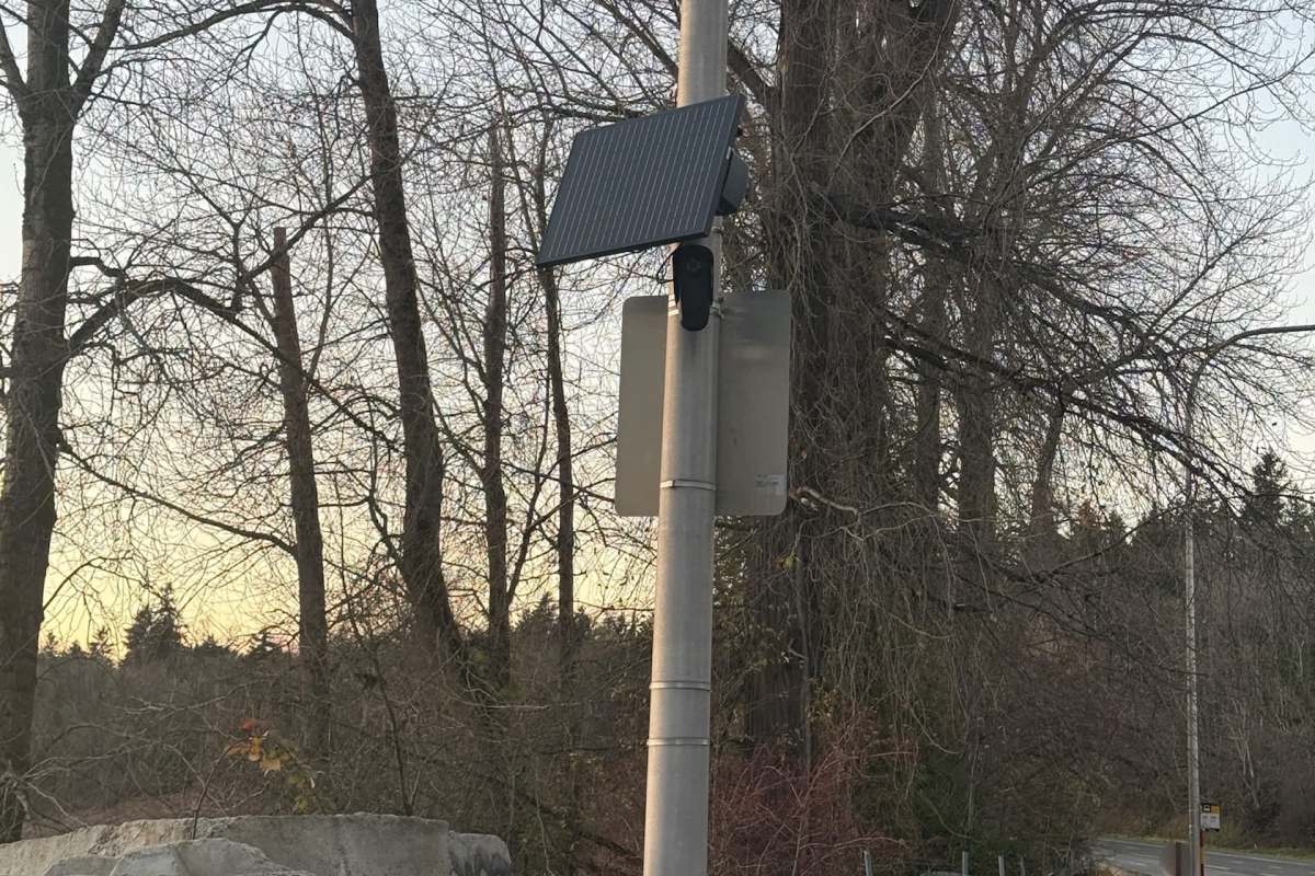 A solar panel and camera mounted on a pole among bare trees.