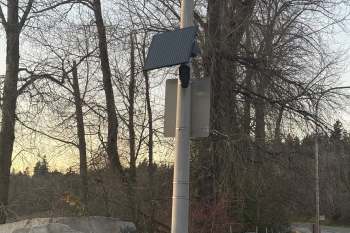 A solar panel and camera mounted on a pole among bare trees.