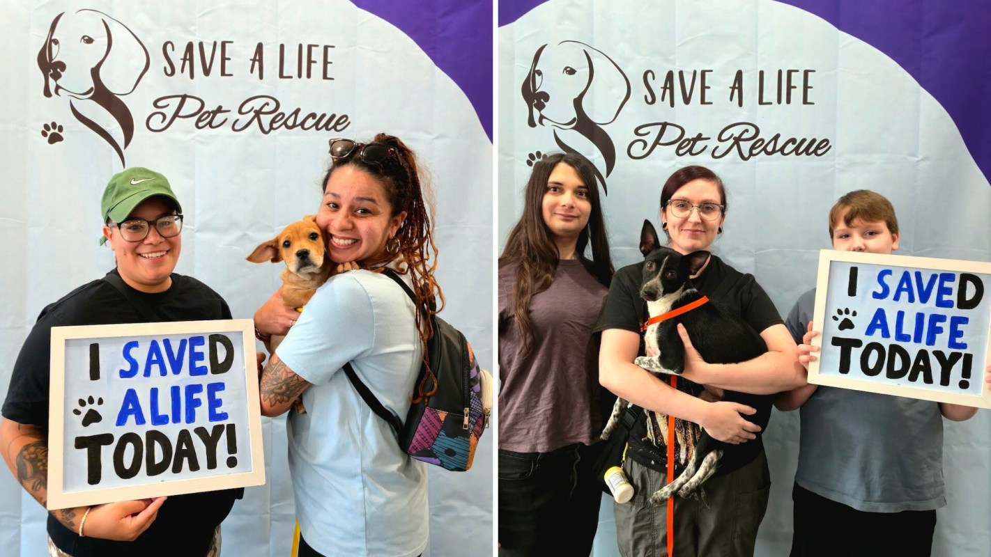 Two groups of people hold signs that say “I SAVED A LIFE TODAY!” with rescued dogs in their arms, against a Pet Rescue backdrop.