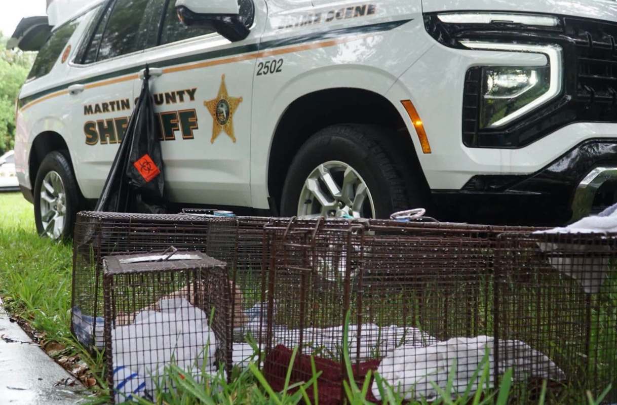 A sheriff's vehicle parked next to animal traps and a biohazard bag on the grass.