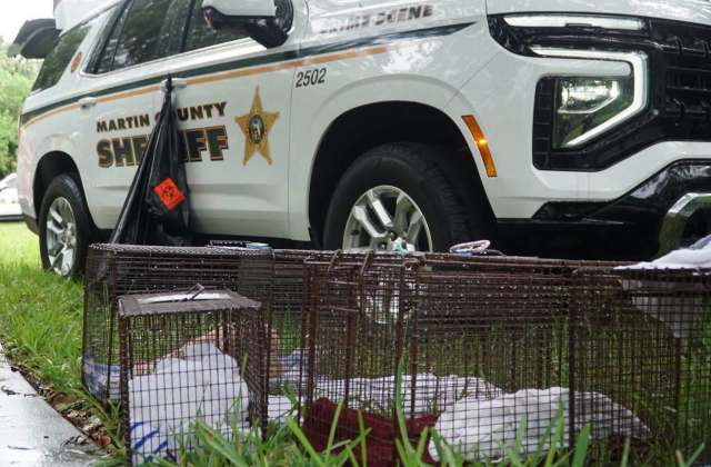 A sheriff's vehicle parked next to animal traps and a biohazard bag on the grass.
