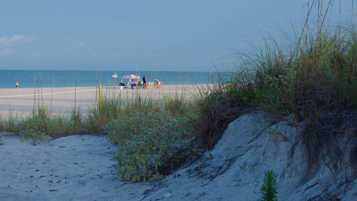 A beach with sand dunes.