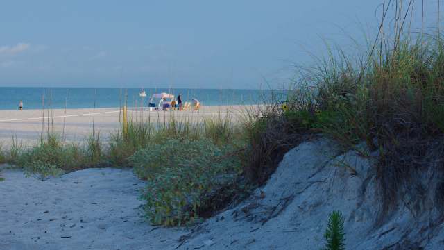 A beach with sand dunes.
