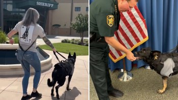 A person walks a black dog outside a sheriff's office, and another dog receives a treat from an officer indoors.