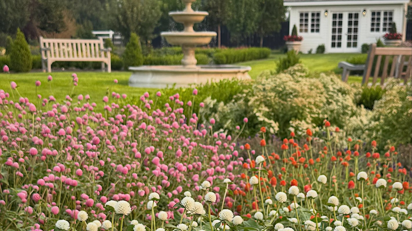 Golden hour garden flower tour