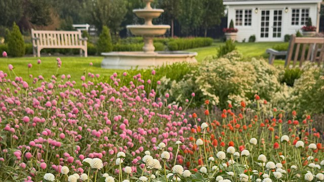 Golden hour garden flower tour
