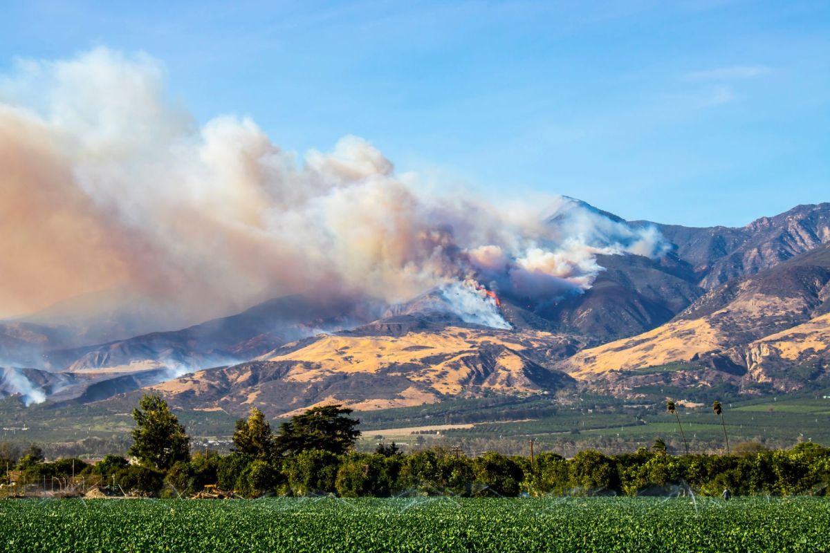 A distant forest fire.