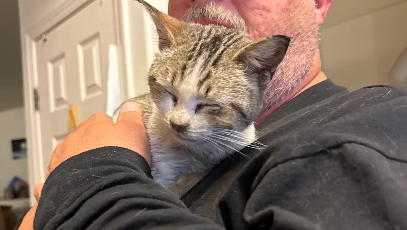 A person holds a cat with its eyes closed against their shoulder in a home setting.