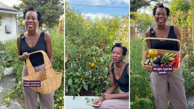 A woman holds a basket filled with various fresh vegetables in a lush garden.