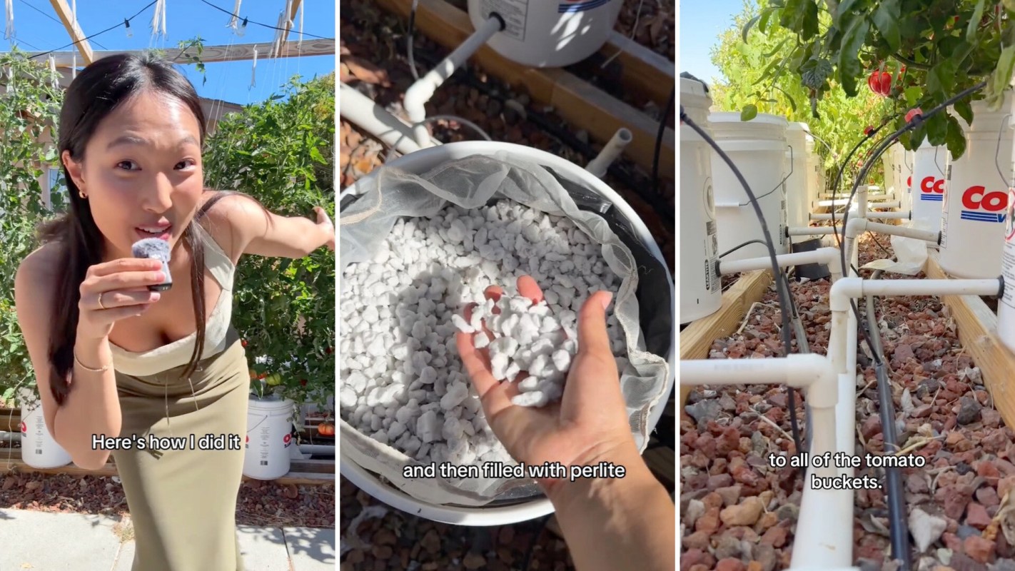 A person demonstrates gardening techniques.