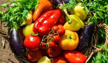 A basket filled with various fresh vegetables, including peppers, tomatoes, and eggplants, surrounded by greenery.