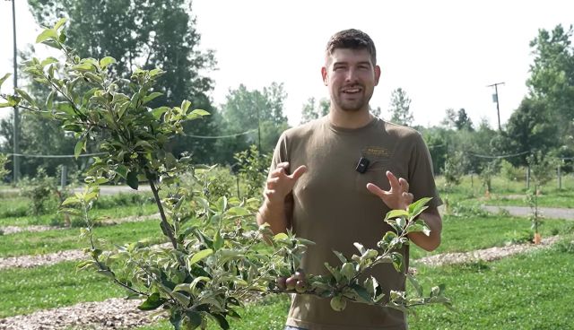 A man standing in a garden.