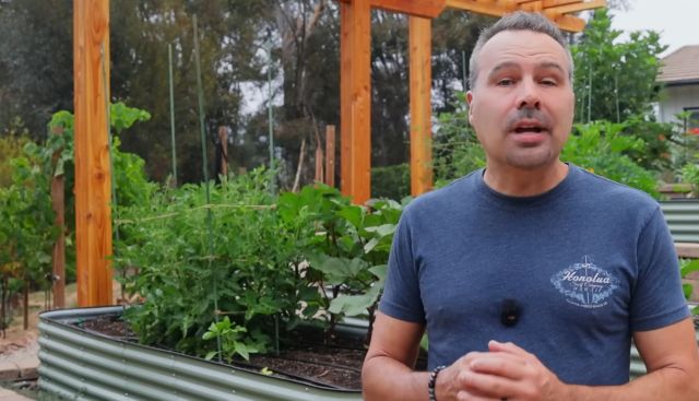 Brian Lowell in a garden.