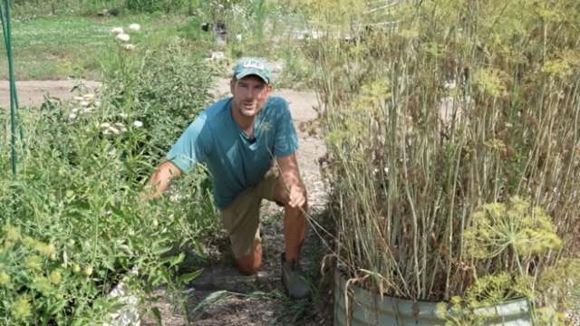 A man kneels in a garden.