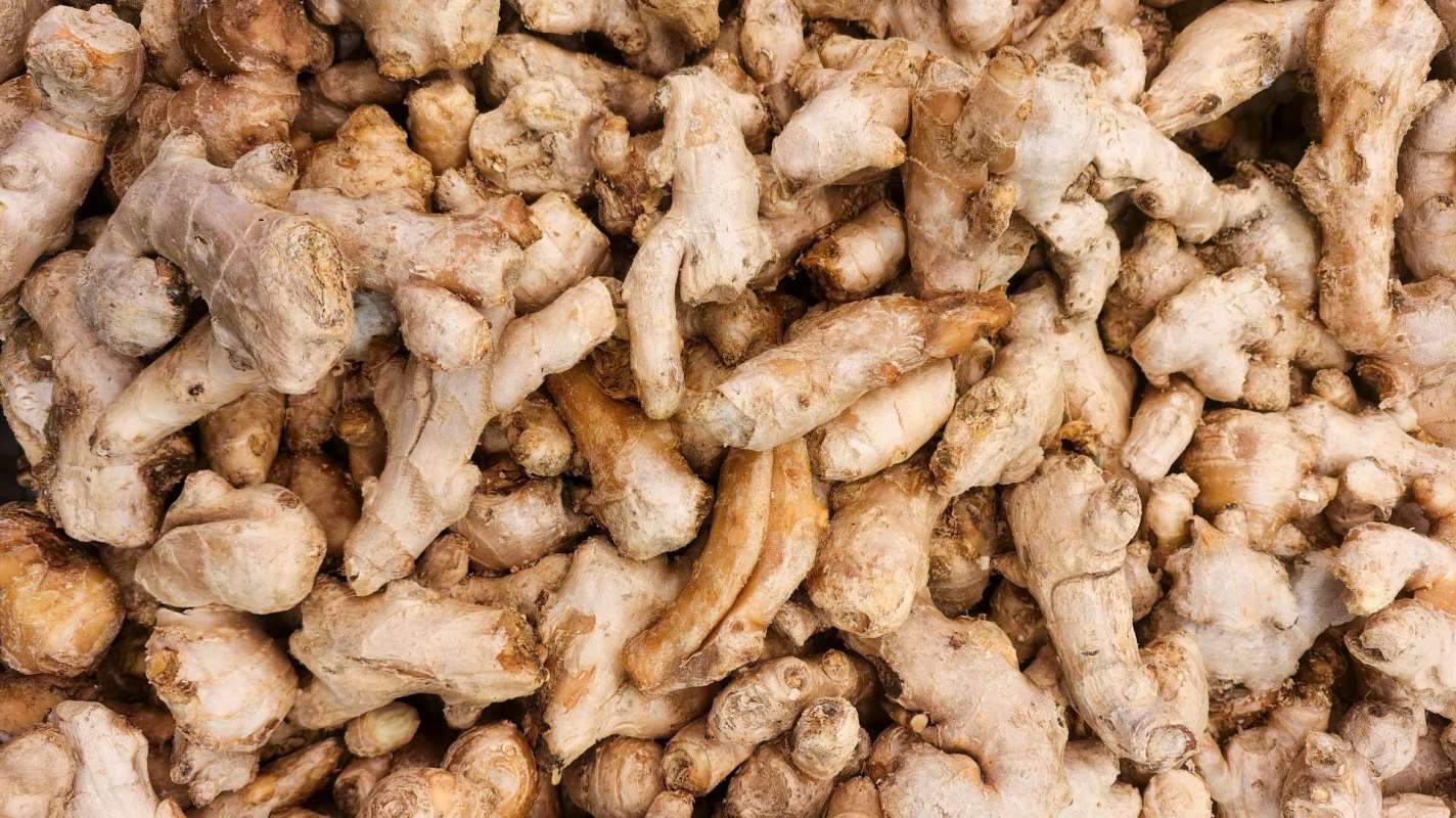 A pile of fresh ginger roots.