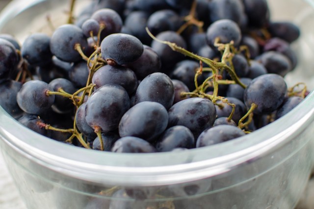 A bowl filled with clusters of dark purple grapes.