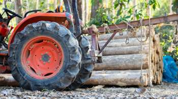 A tractor beside stacked logs.