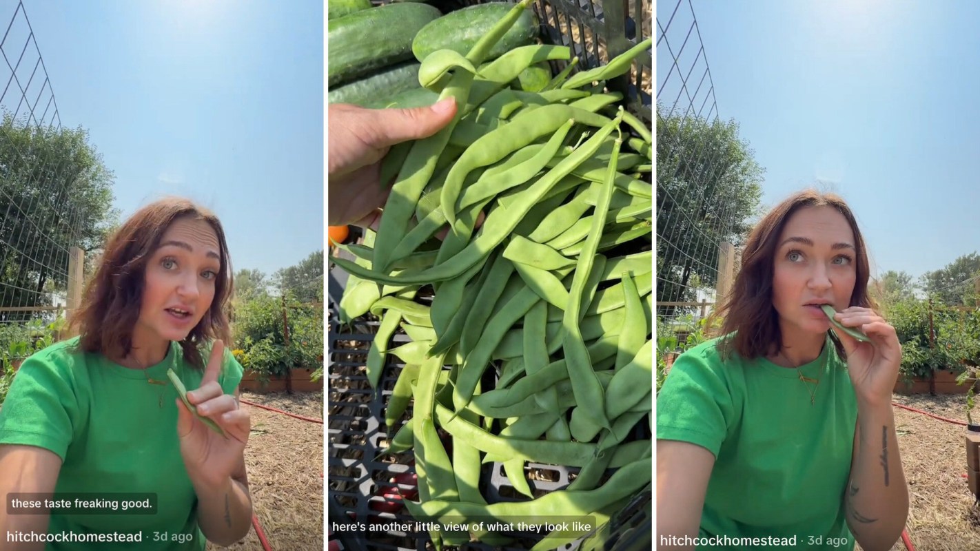 A homesteader showing off her bean harvest.