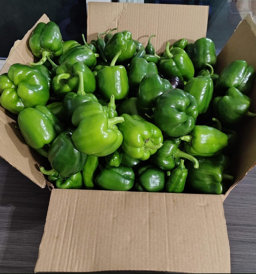 A box filled with green bell peppers.