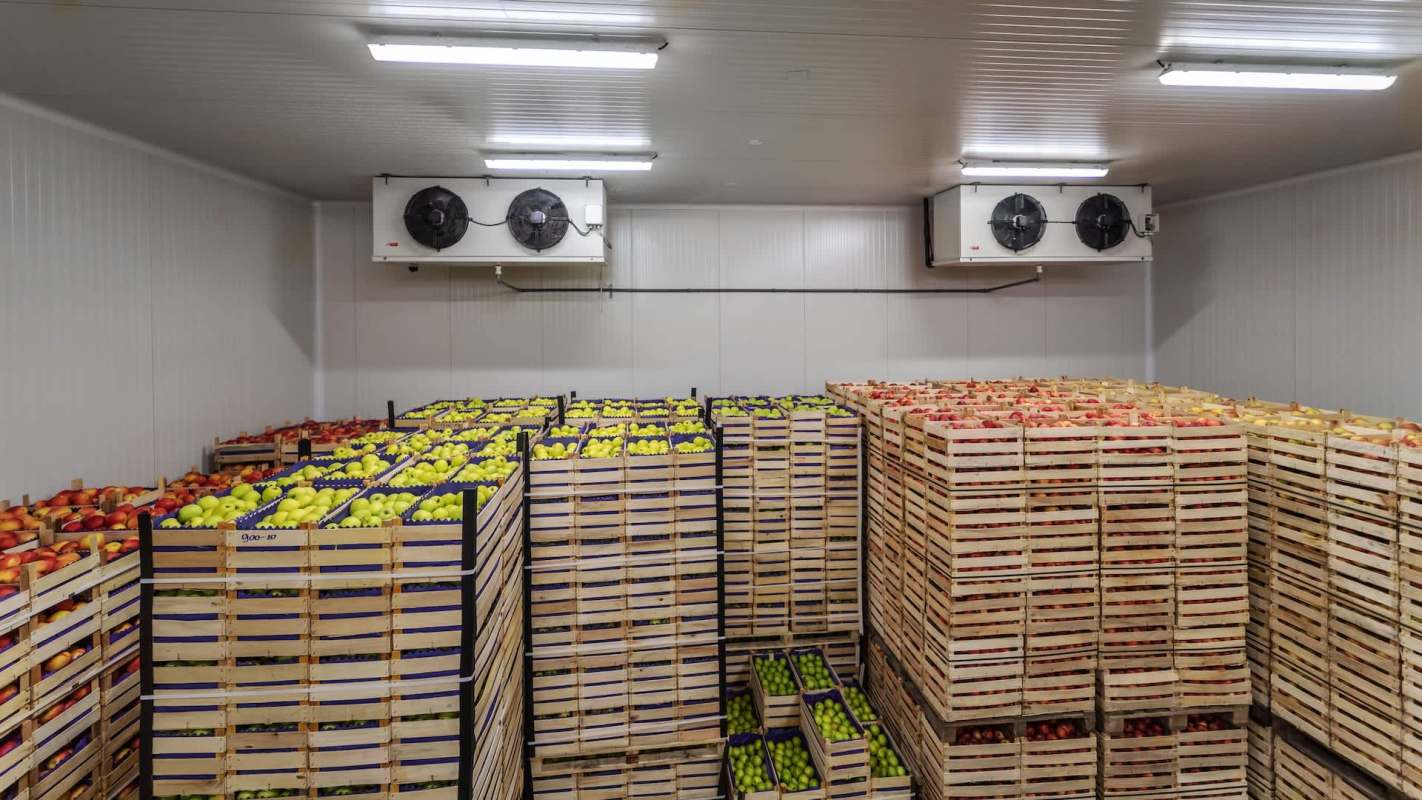 A cold storage room filled with wooden crates of various types of apples and pears.