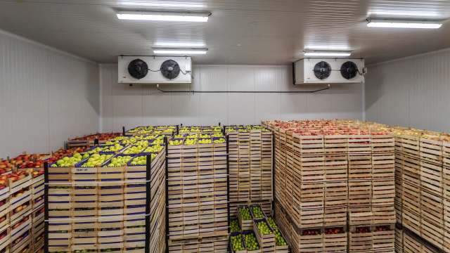 A cold storage room filled with wooden crates of various types of apples and pears.