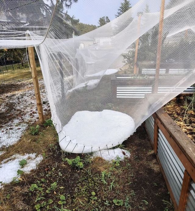 Hail netting protecting a garden.