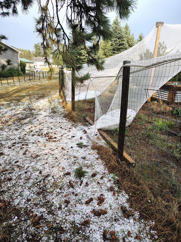 Hail netting protecting a garden.