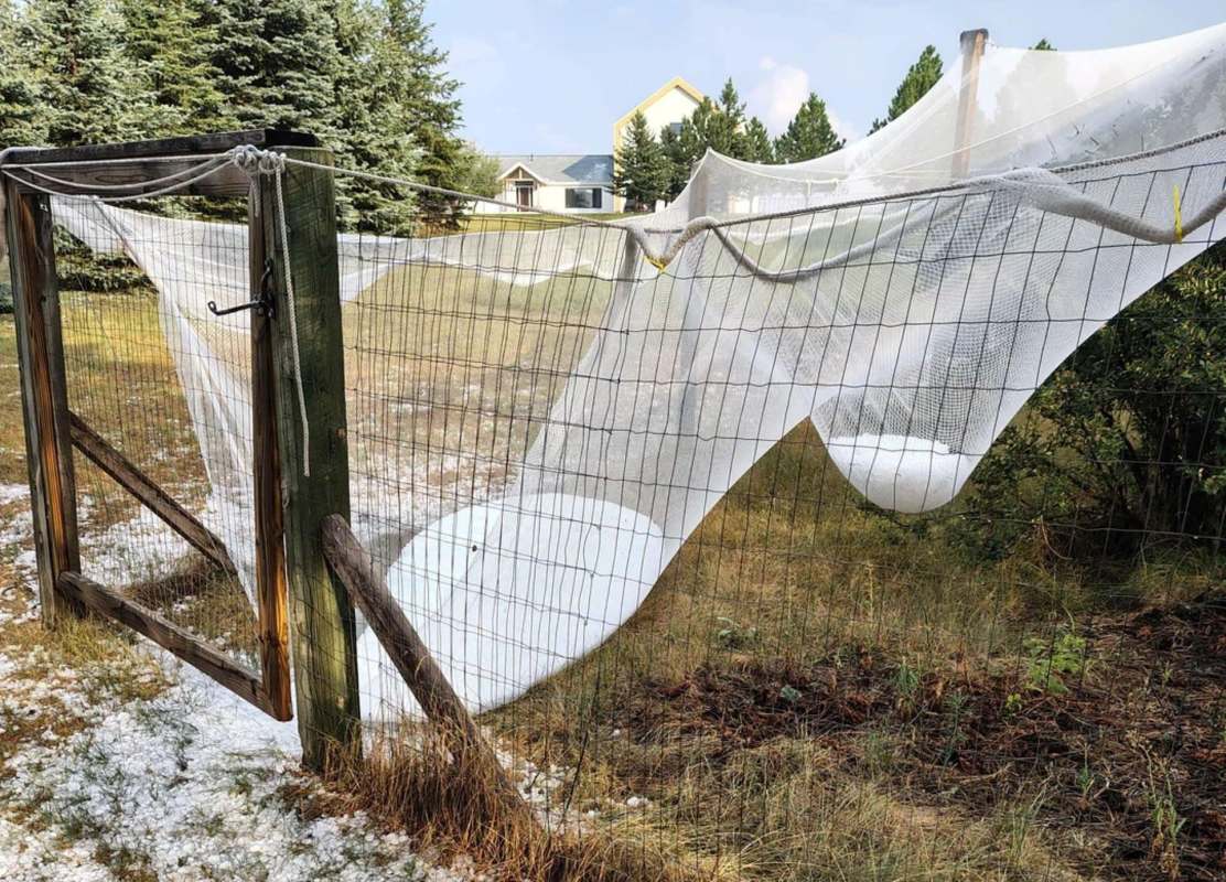 Hail netting protecting a garden.