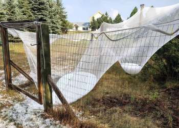 Hail netting protecting a garden.