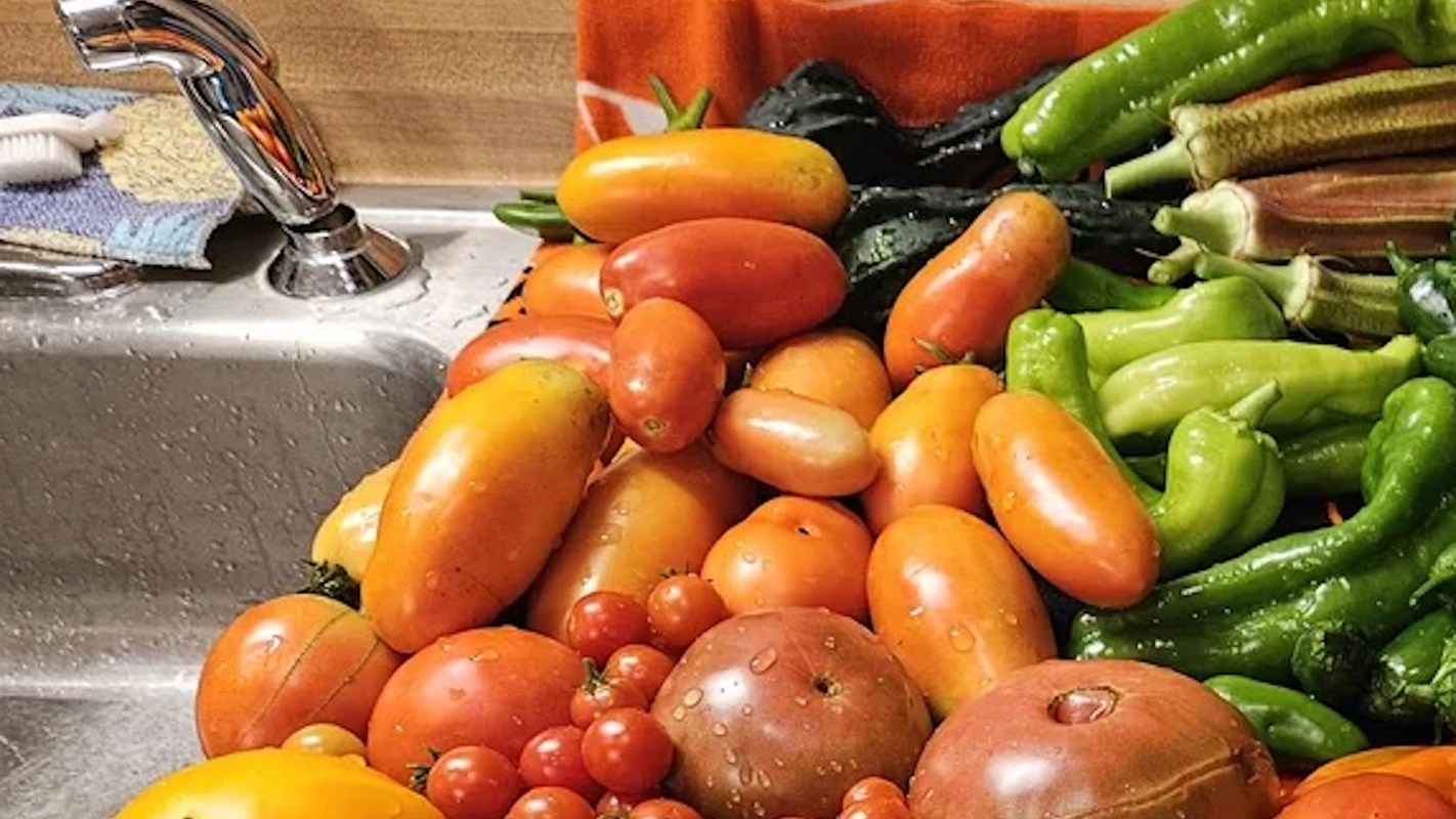 A variety of tomatoes and peppers piled beside a kitchen sink.