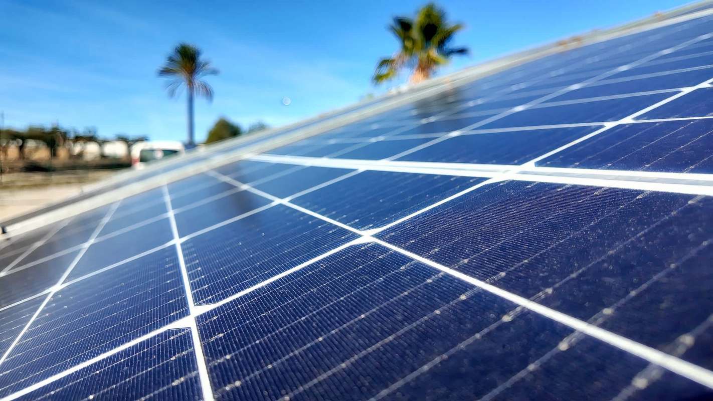A solar panel with palm trees and a clear blue sky in the background.
