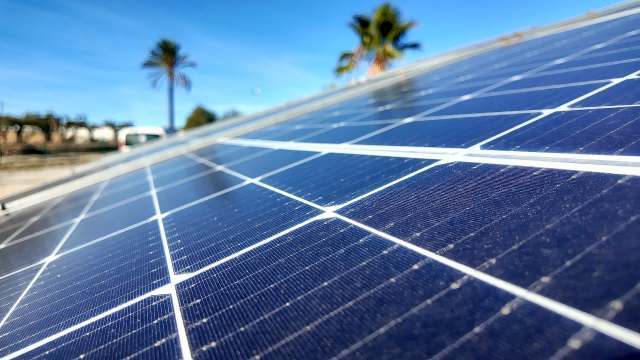 A solar panel with palm trees and a clear blue sky in the background.
