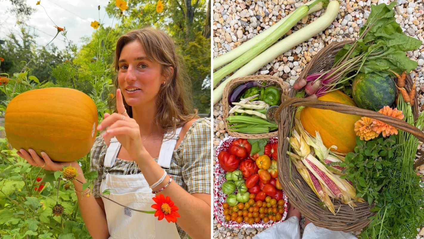 A gardener holds a pumpkin among flowers, with a basket of assorted vegetables nearby.