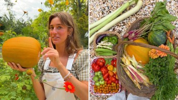 A gardener holds a pumpkin among flowers, with a basket of assorted vegetables nearby.