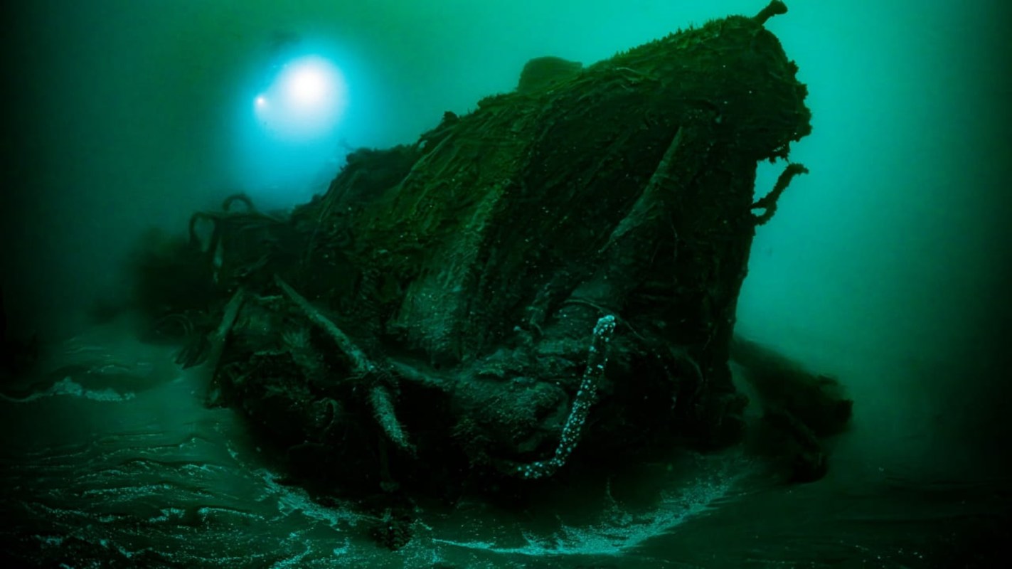 A submerged shipwreck covered in marine growth in dark, murky water.
