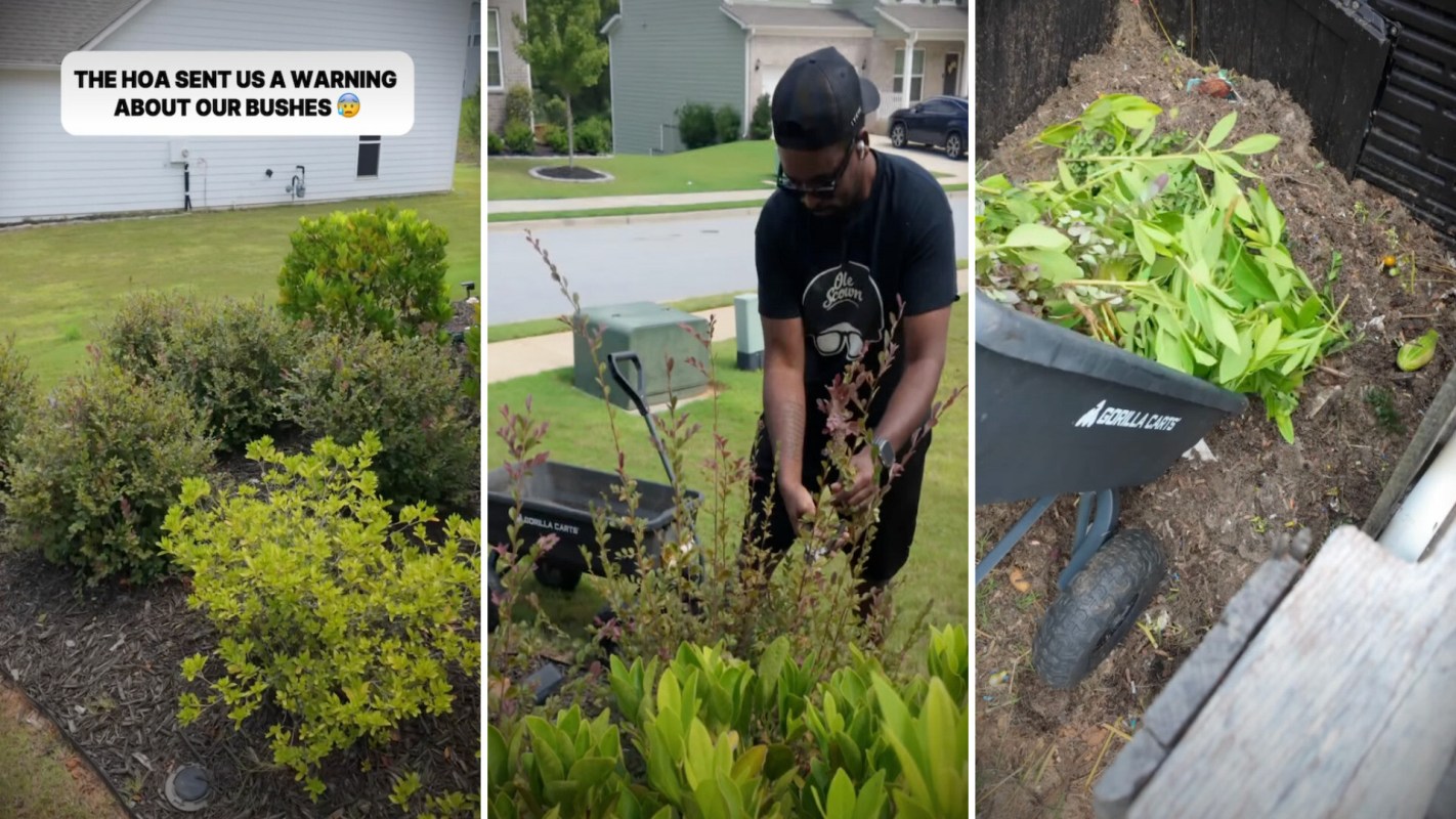 A person trims bushes in a yard, with a wheelbarrow nearby filled with cuttings.