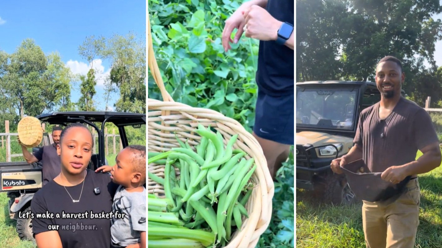 A family putting together a basket of vegetables.