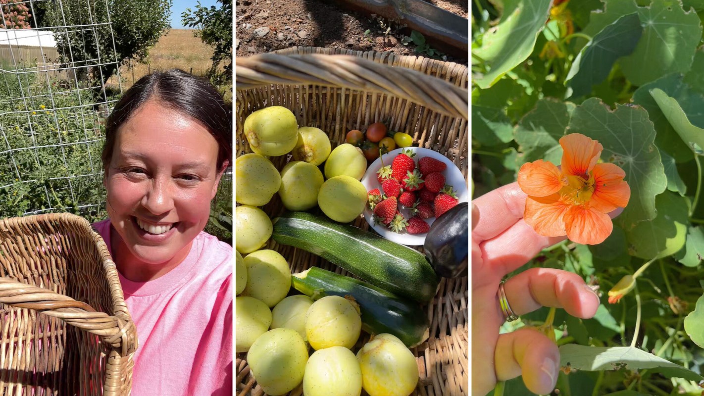 A woman holds a woven basket filled with fruits and vegetables in a garden.