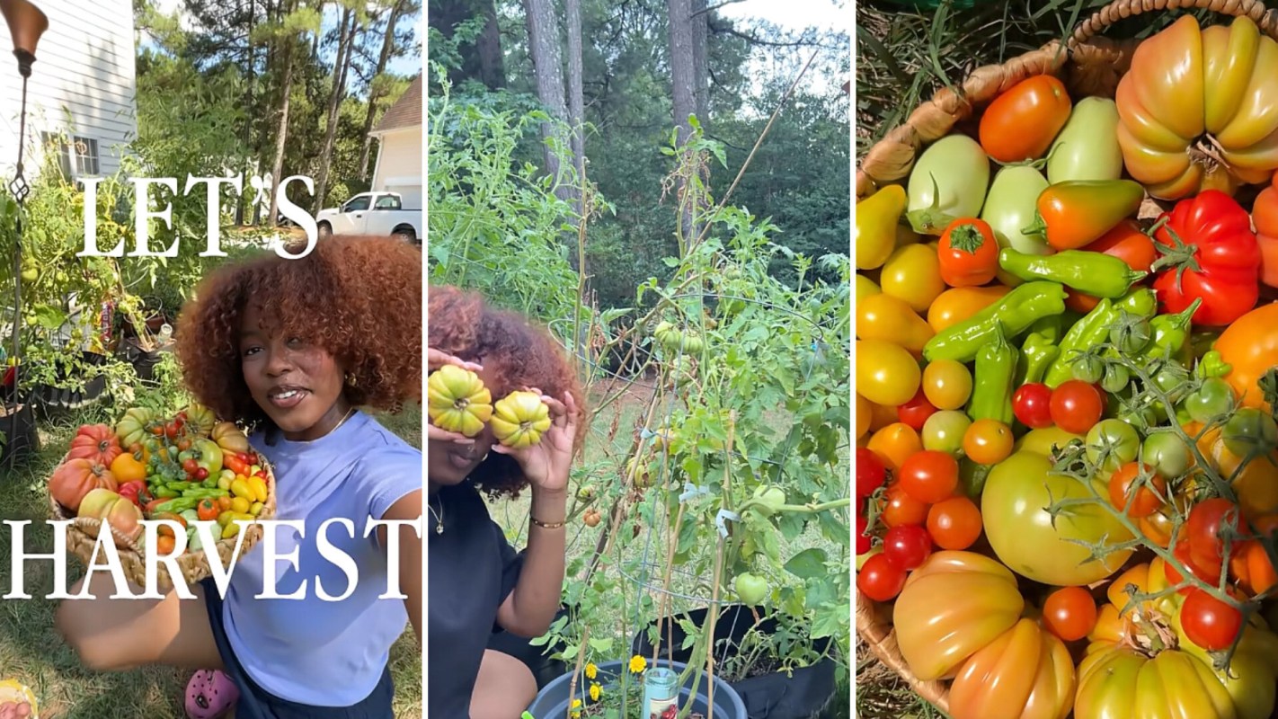 A woman holds a basket filled with various colorful vegetables in a garden.