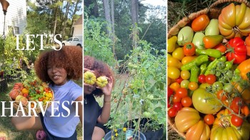 A woman holds a basket filled with various colorful vegetables in a garden.